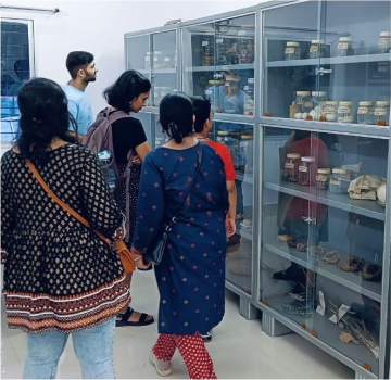Museum
